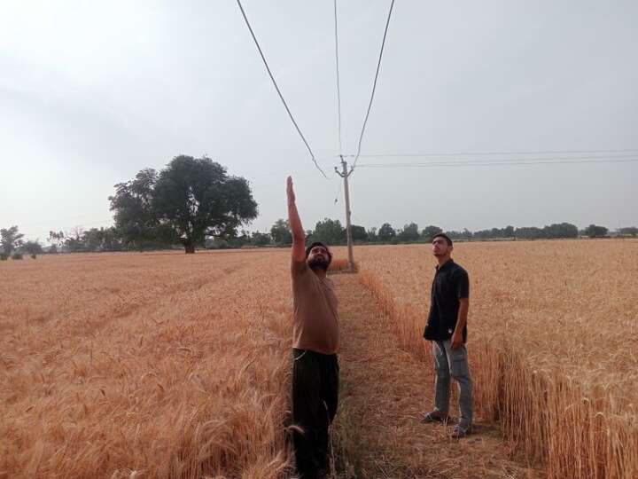 Hanging electric wires hinder paddy harvest as farmers protest negligence by electricity officials amid rising safety concerns.